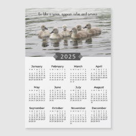 Calendario de 2025: imán fotográfico sobre cisnes