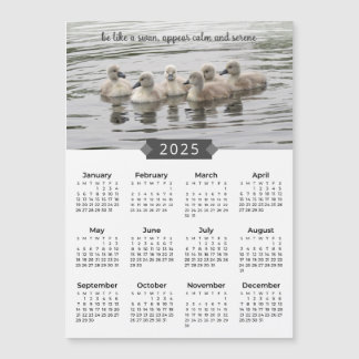 Calendario de 2025: imán fotográfico sobre cisnes