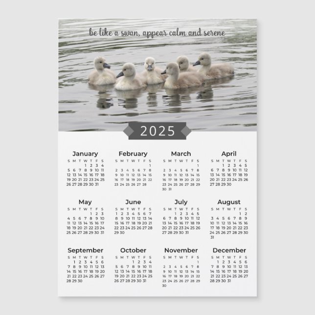 Calendario de 2025: imán fotográfico sobre cisnes (Anverso)