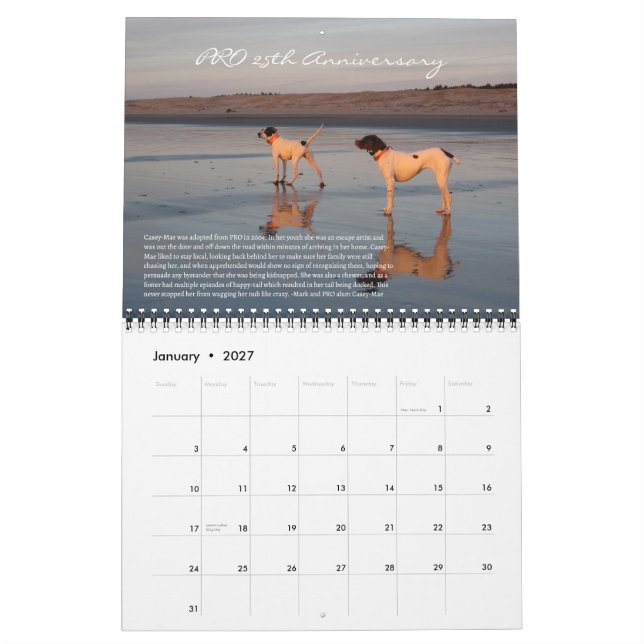 Calendario de 25º aniversario de PRO 2025 (Jan 2027)