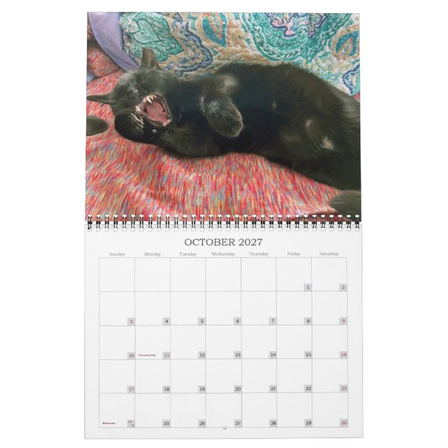 Calendario de 2 años de PA Paws 2023-2024 (Oct 2027)