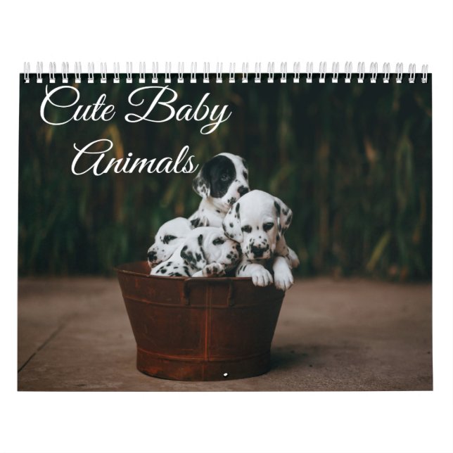 Calendario de adorables bebés animales (Tapa)