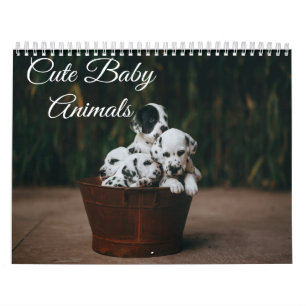 Calendario de adorables bebés animales