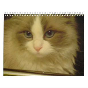 Calendario de adviento 2013