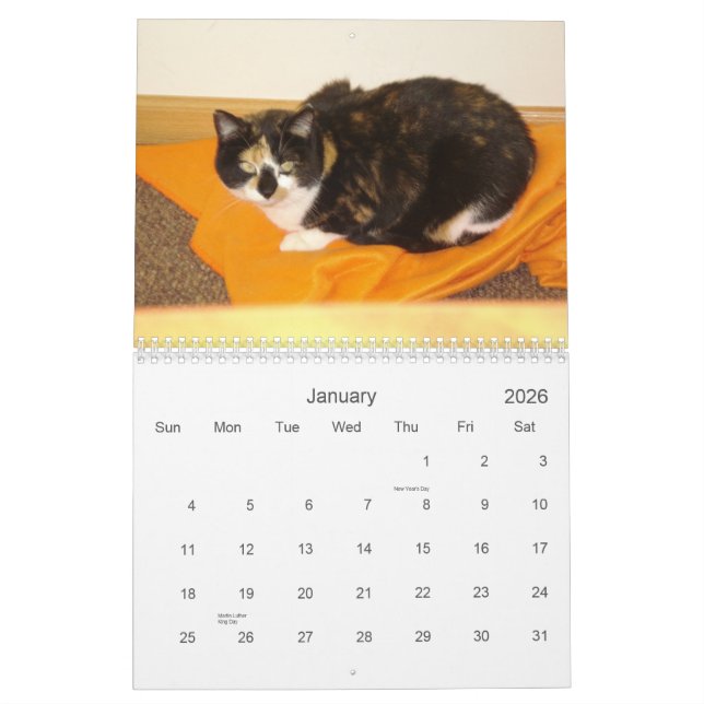 Calendario de adviento 2013 (Jan 2026)