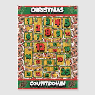 Calendario de Adviento de Navidad con Cuenta Regre