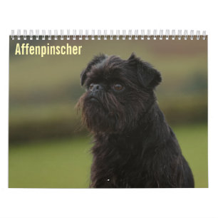 Calendario de Affenpinscher 2027