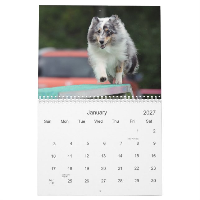 Calendario de Agilidad de Sheepdog Shetland (Jan 2027)