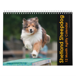 Calendario de Agilidad de Sheepdog Shetland