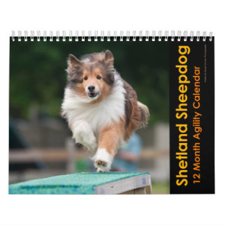 Calendario de Agilidad de Sheepdog Shetland