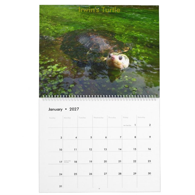 Calendario de agua dulce australiano de la tortuga (Jan 2027)