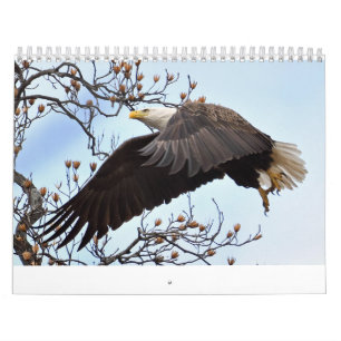 Calendario de águila