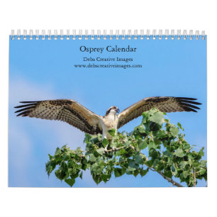 Calendario de águila pescadora 2026 – Fotografía m