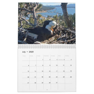 Calendario de Águilas de Oso Grande 2025-2026