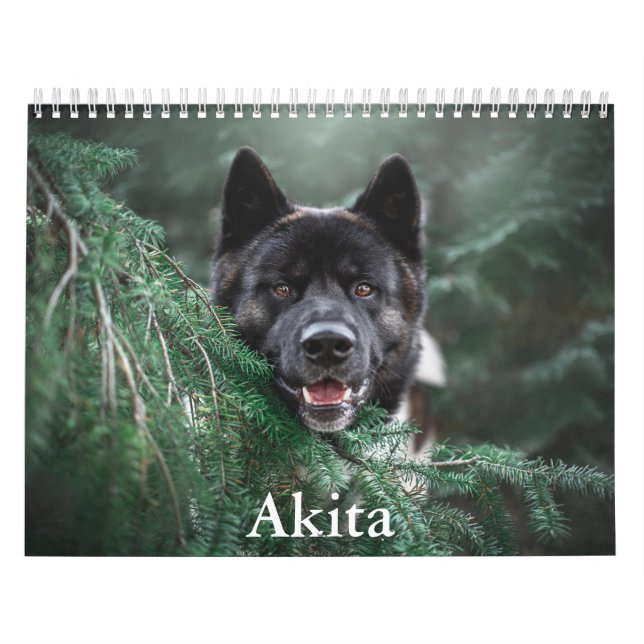 Calendario de Akita (Tapa)
