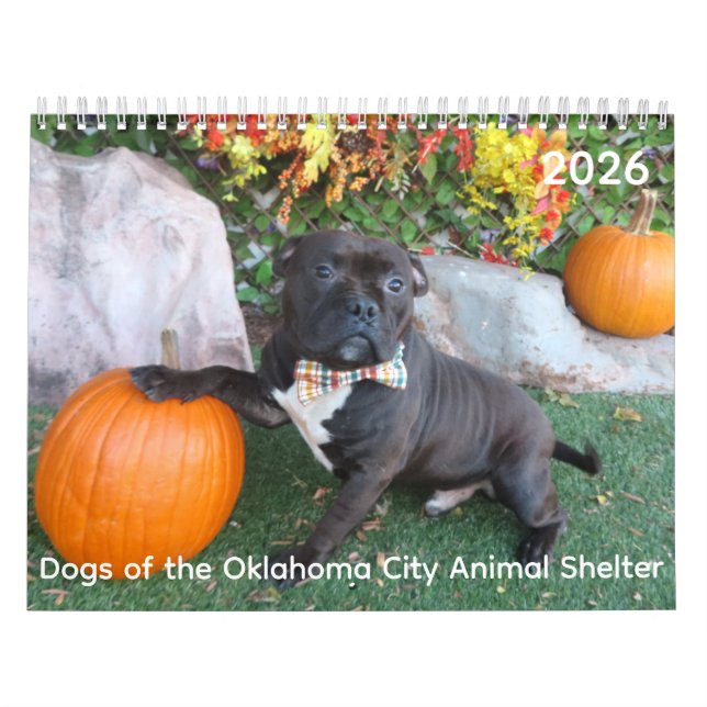 Calendario de albergues para animales de la ciudad (Tapa)