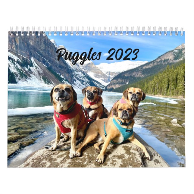 Calendario de alternancia 2023 (Tapa)