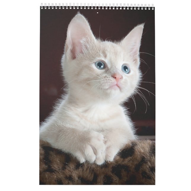 Calendario de amante de los gatos (Reverso)