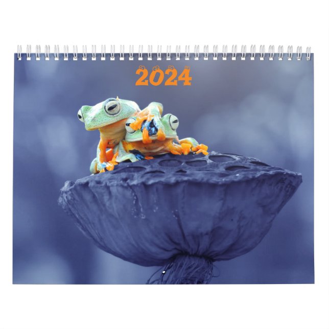 Calendario de amantes de la rana 2024 (Tapa)