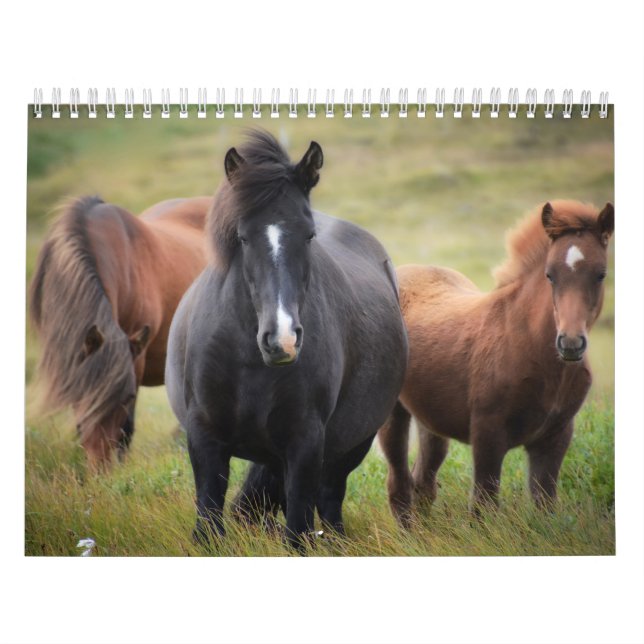 Calendario de amantes de los caballos (Tapa)