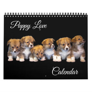 Calendario de Amor de Cachorro