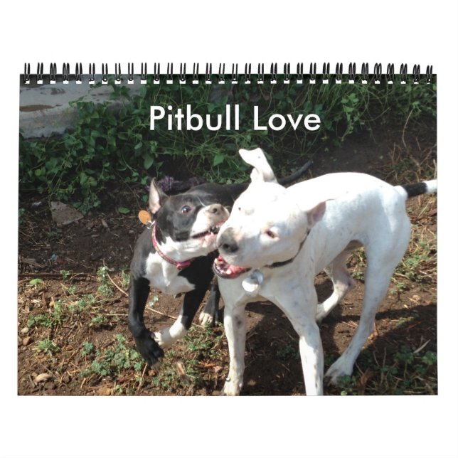 Calendario de amor de Pitbull (Tapa)