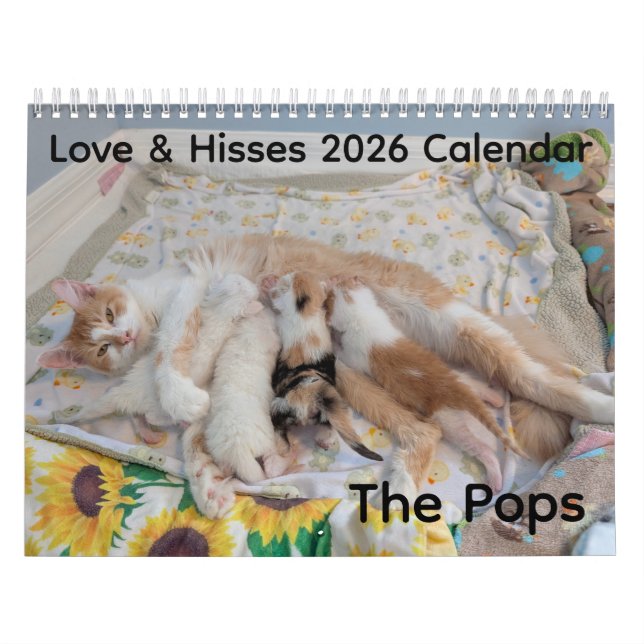 Calendario de Amor y Siseos 2026 - los Pops (Tapa)