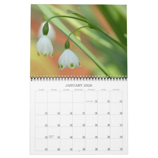Calendario de Angie's Garden 2008 (Jan 2026)