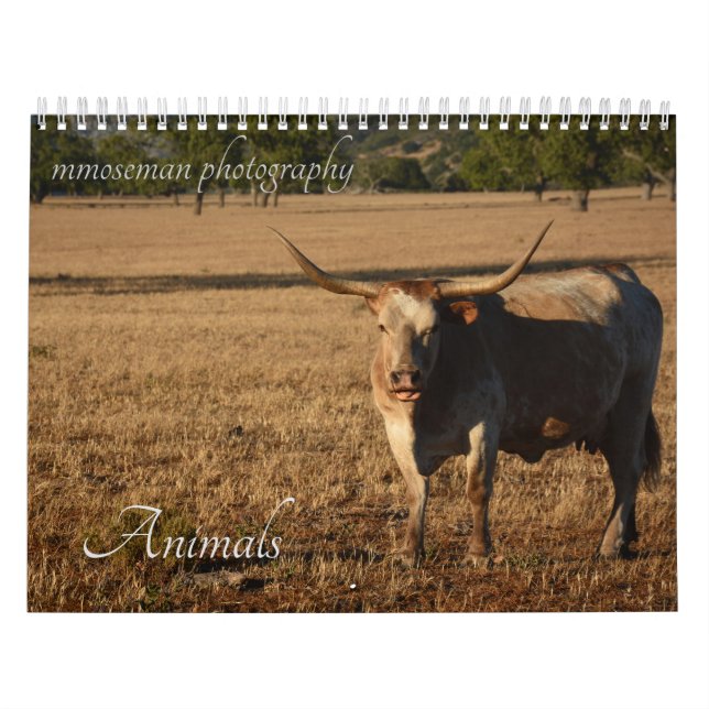 Calendario de animales (Tapa)
