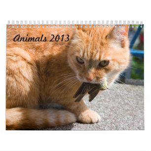 Calendario de animales 2013
