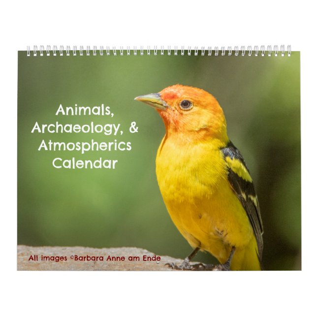 Calendario de Animales, Arqueología y Atmósfera (Tapa)