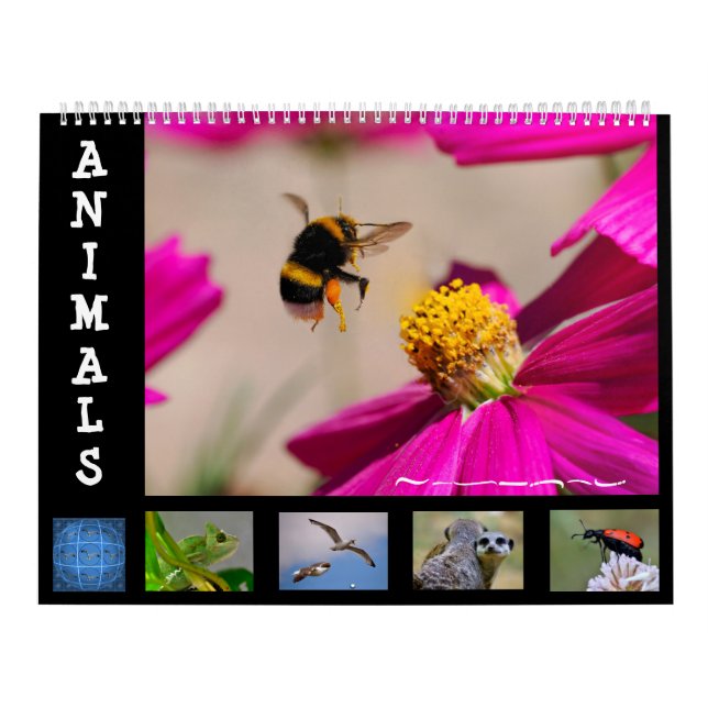 Calendario de animales de 12 meses (Tapa)