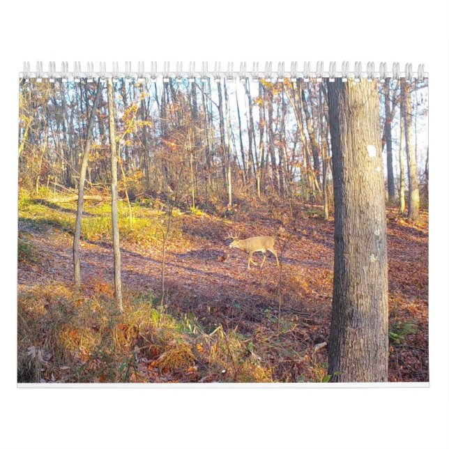 Calendario de animales de la naturaleza 2023 (Tapa)