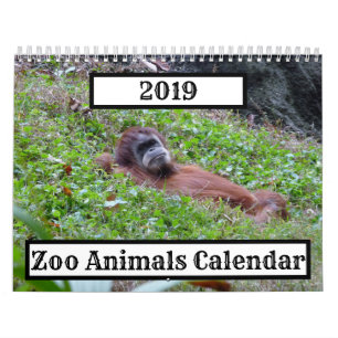 Calendario de Animales del Zoológico 2019