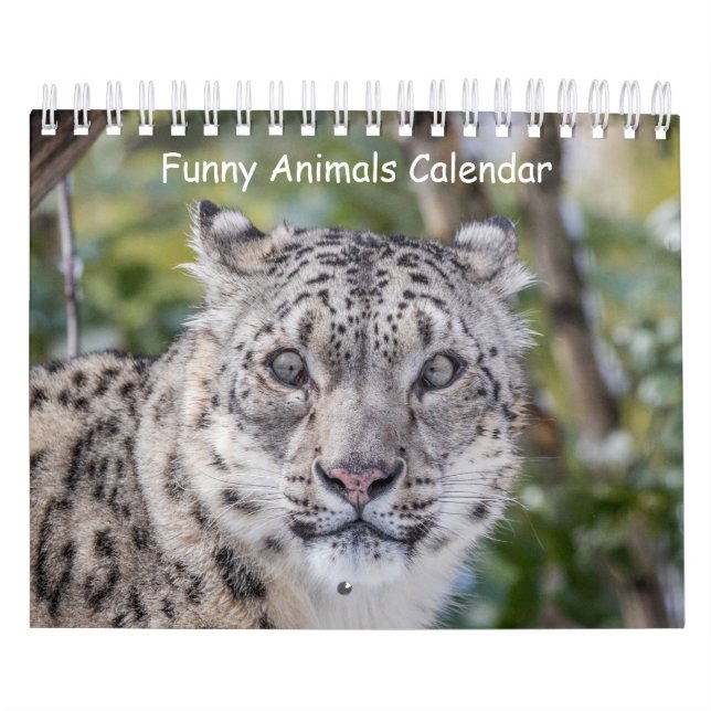 Calendario de animales divertidos (Tapa)
