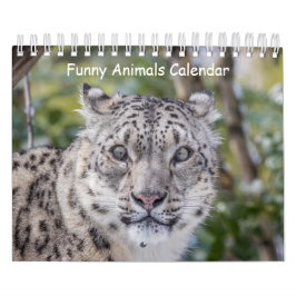 Calendario de animales divertidos