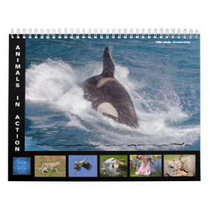 Calendario de animales en acción de 12 meses