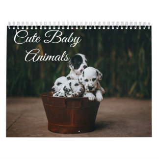 Calendario de animales para bebés
