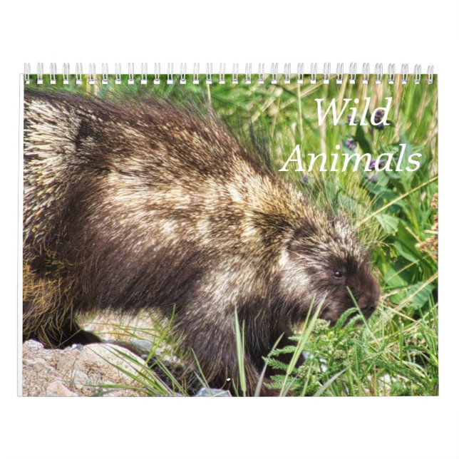 Calendario de animales salvajes (Tapa)
