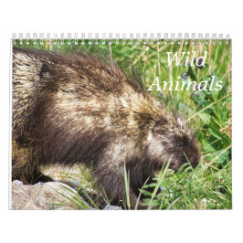 Calendario de animales salvajes