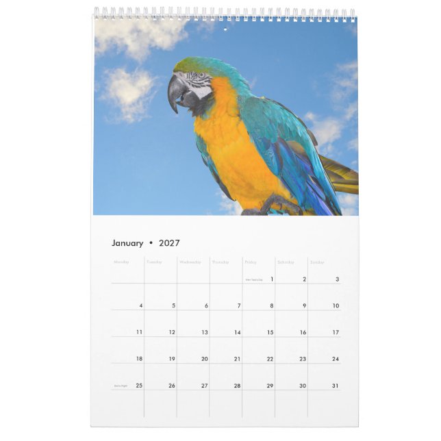 Calendario de animales y aves mixtos (Jan 2027)