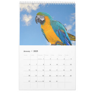 Calendario de animales y aves mixtos