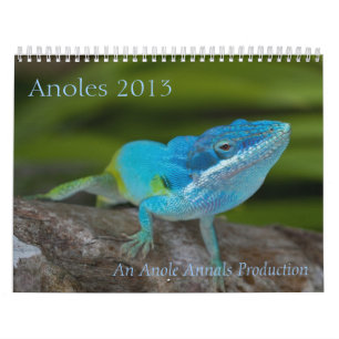 Calendario de Anoles 2013