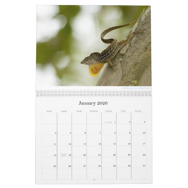 Calendario de Anoles 2013 (Jan 2026)