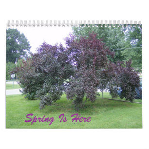 Calendario de Aquí Está la Primavera