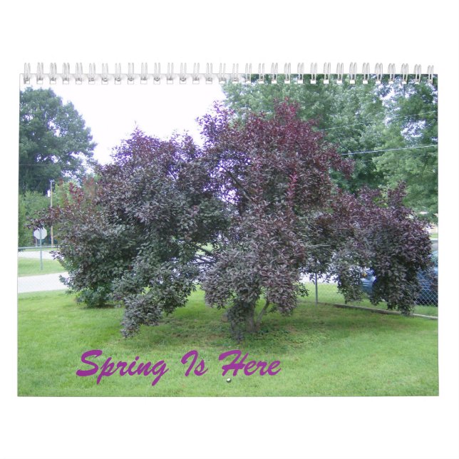 Calendario de Aquí Está la Primavera (Tapa)