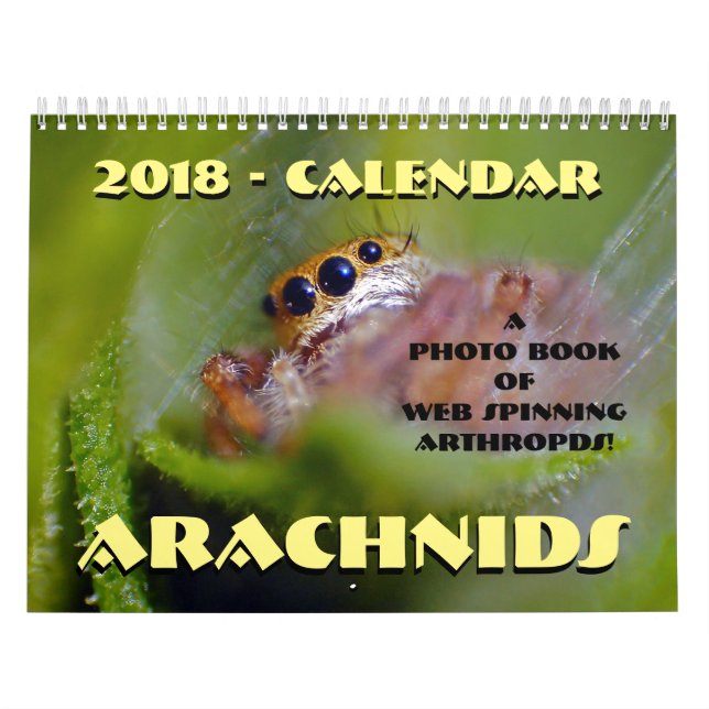 Calendario de Arachnids (Tapa)