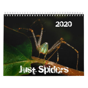 Calendario de Arañas, 2020