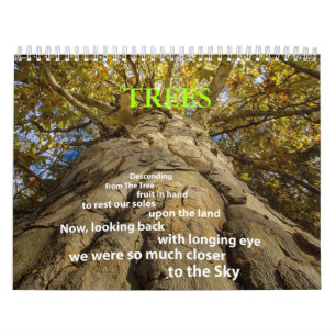 Calendario de árboles