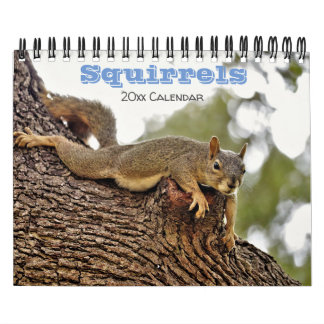 Calendario de ardilla para amantes de los animales